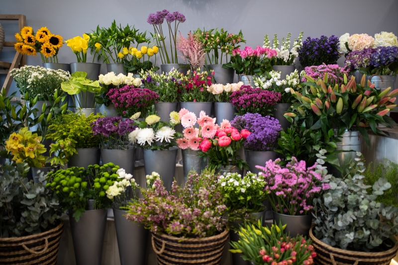 Monthly Flower Subscription buy online or call 01642 787989